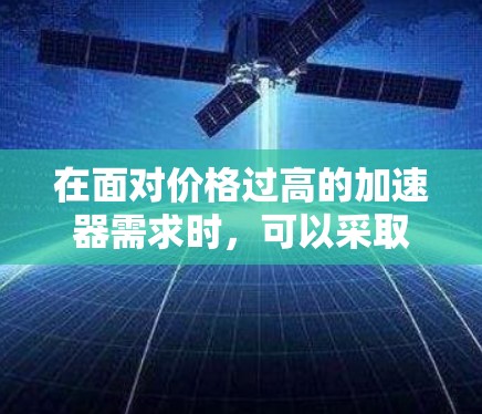 在面对价格过高的加速器需求时，可以采取以下策略来解决问题