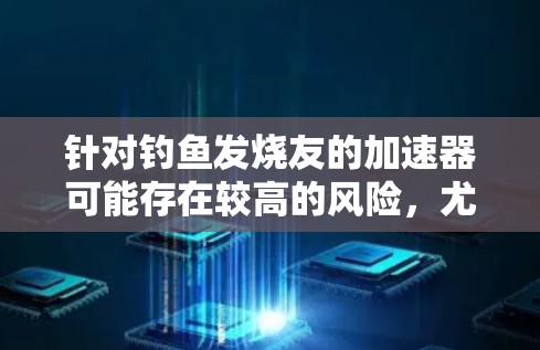 针对钓鱼发烧友的加速器可能存在较高的风险，尤其是当加速器本身带有钓鱼攻击的特性时。以下是对此问题的详细分析