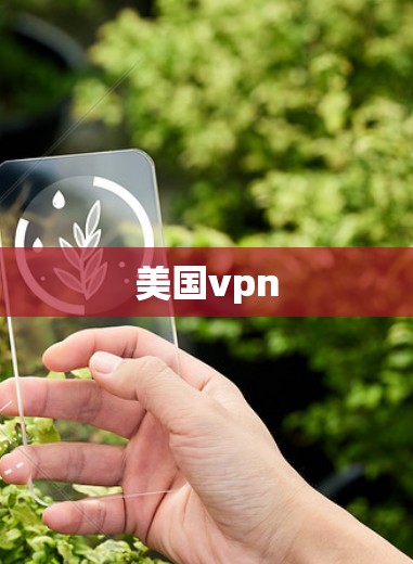 美国vpn