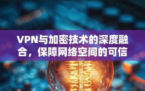 VPN与加密技术的深度融合，保障网络空间的可信安全