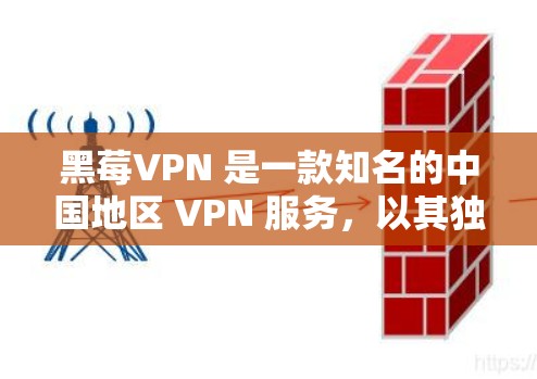 黑莓VPN 是一款知名的中国地区 VPN 服务，以其独特的设计和功能而闻名。以下是对黑莓VPN的详细分析
