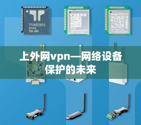 上外网vpn—网络设备保护的未来