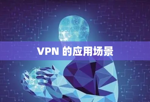 VPN 的应用场景