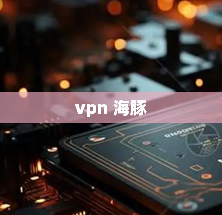 vpn 海豚