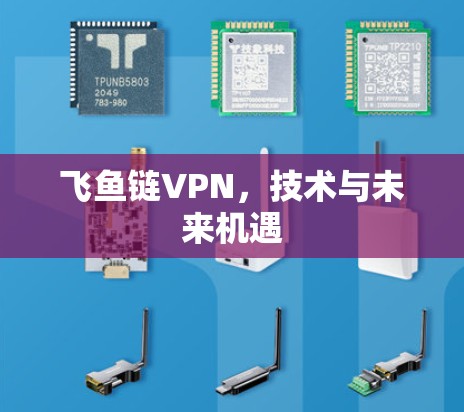 飞鱼链VPN,技术与未来机遇 飞鱼链VPN,技术与未来机遇