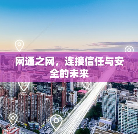 网通之网,连接信任与安全的未来 网通之网,连接信任与安全的未来