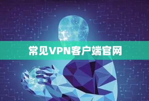 常见VPN客户端官网 常见VPN客户端官网