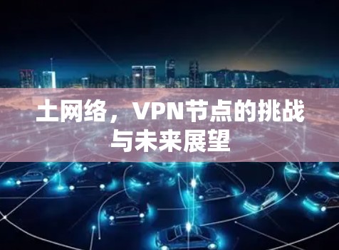土网络，VPN节点的挑战与未来展望