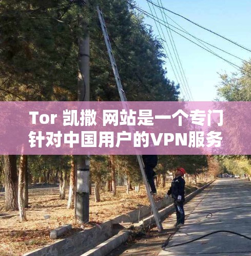 Tor 凯撒 网站是一个专门针对中国用户的VPN服务，提供了一系列功能丰富、权限控制强的解决方案。以下是对 Tor 凯撒 网站的详细介绍