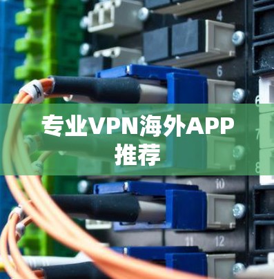 专业VPN海外APP推荐