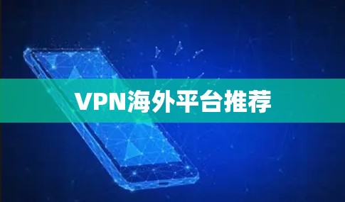 VPN海外平台推荐