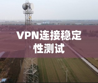 VPN连接稳定性测试