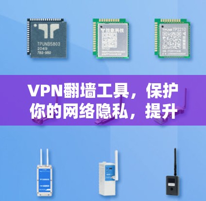VPN<strong>翻墙</strong>工具，保护你的网络隐私，提升你的流量体验