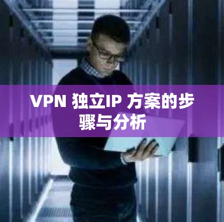 VPN 独立IP 方案的步骤与分析
