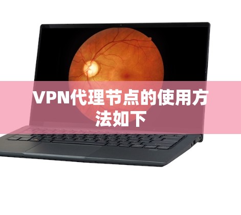 VPN代理节点的使用方法如下
