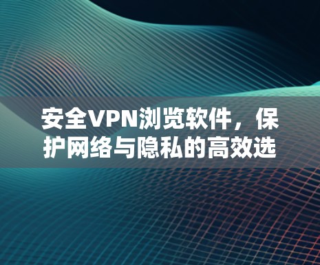 安全VPN浏览软件，保护网络与隐私的高效选择