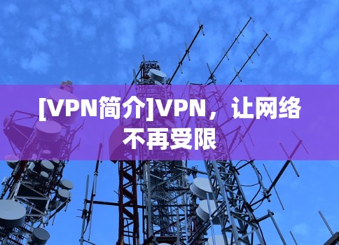 [VPN简介]VPN，让网络不再受限