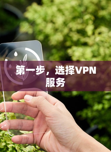 第一步，选择VPN服务