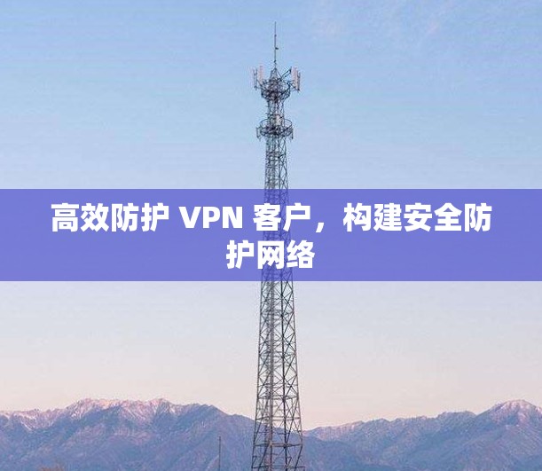 高效防护 VPN 客户,构建安全防护网络 高效防护 VPN 客户,构建安全防护网络