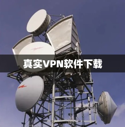 真实VPN软件下载