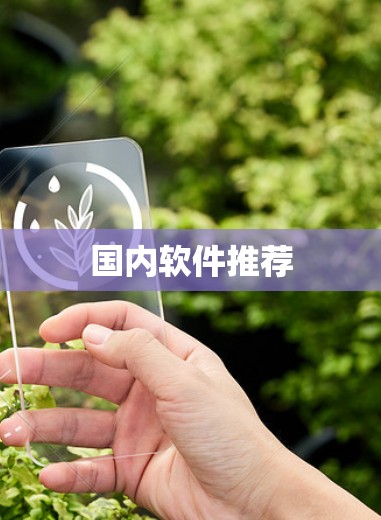 国内软件推荐