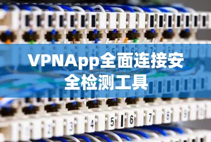 VPNApp全面连接安全检测工具 VPNApp全面连接安全检测工具