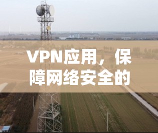 VPN应用，保障网络安全的可靠选择
