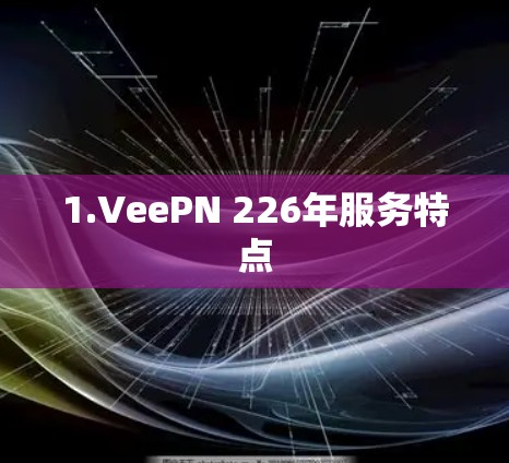 1.VeePN 226年服务特点
