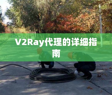 V2Ray代理的详细指南 V2Ray代理的详细指南