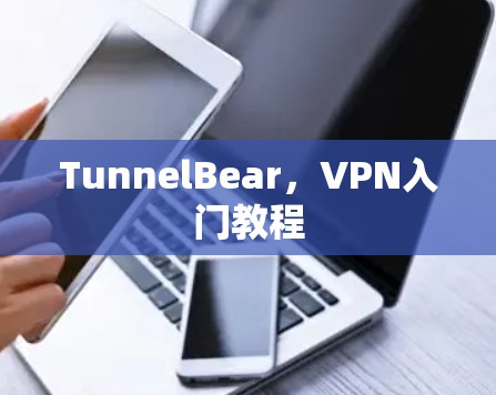 TunnelBear,VPN入门教程 TunnelBear,VPN入门教程