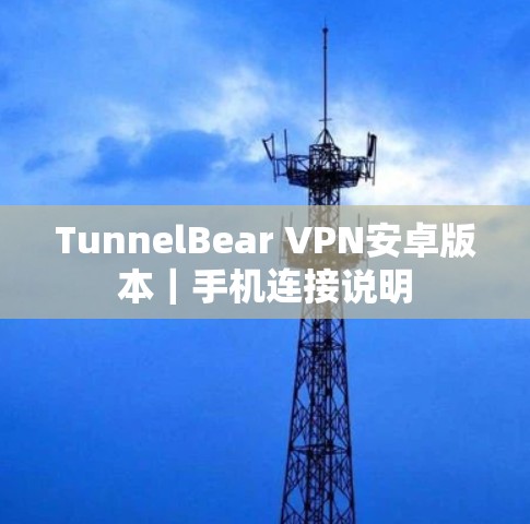 TunnelBear VPN安卓版本｜手机连接说明
