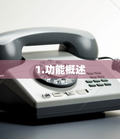 1.功能概述