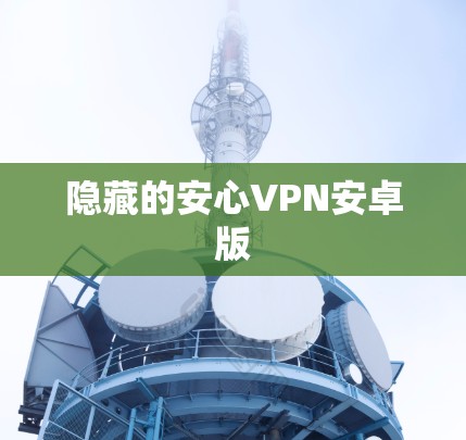 隐藏的安心VPN安卓版