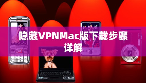隐藏VPNMac版下载步骤详解
