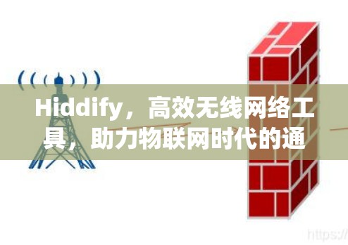 Hiddify，高效无线网络工具，助力物联网时代的通信未来