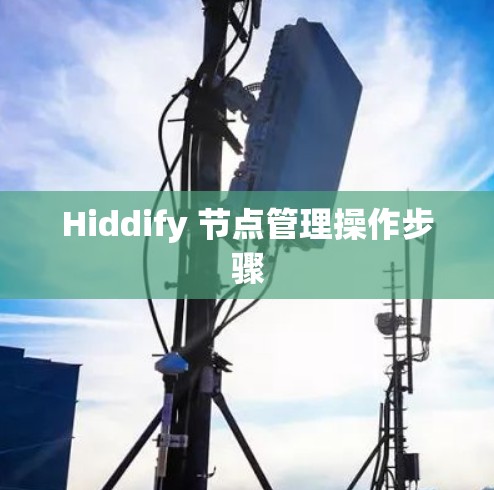 Hiddify 节点管理操作步骤