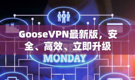 GooseVPN最新版,安全、高效、立即升级 GooseVPN最新版,安全、高效、立即升级