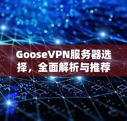 GooseVPN服务器选择,全面解析与推荐 GooseVPN服务器选择,全面解析与推荐