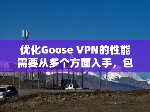 优化Goose VPN的性能需要从多个方面入手，包括网络连接、端口号、头文件、服务器配置、连接速度和防火墙设置。以下是逐步的优化教程