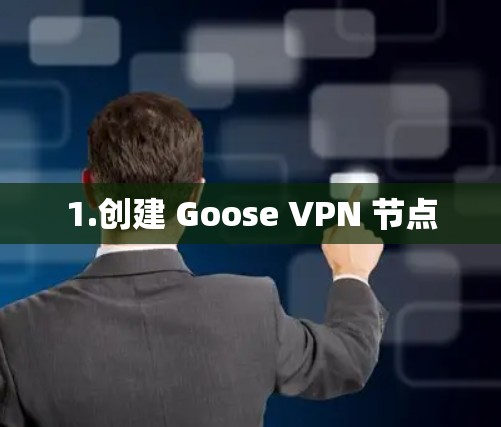 1.创建 Goose VPN 节点