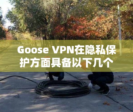 Goose VPN在隐私保护方面具备以下几个关键优势