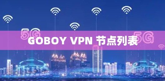 GOBOY VPN 节点列表 GOBOY VPN 节点列表