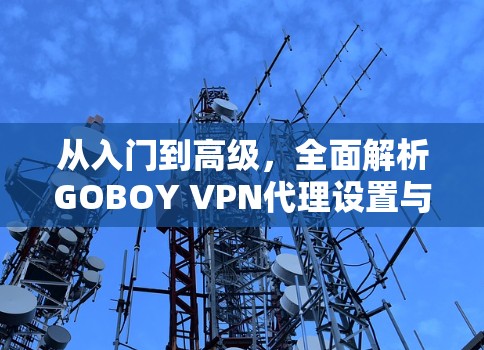 从入门到高级,全面解析GOBOY VPN代理设置与使用指南 从入门到高级,全面解析GOBOY VPN代理设置与使用指南