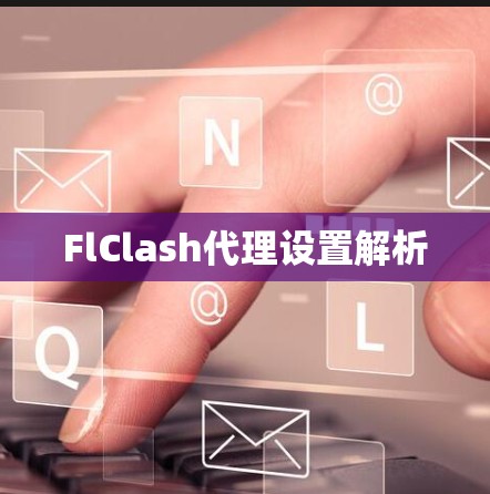 FlClash代理设置解析 FlClash代理设置解析