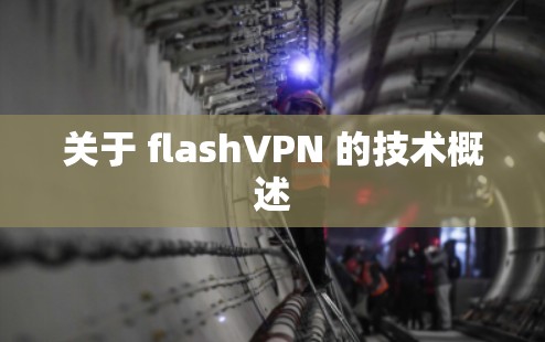 关于 flashVPN 的技术概述