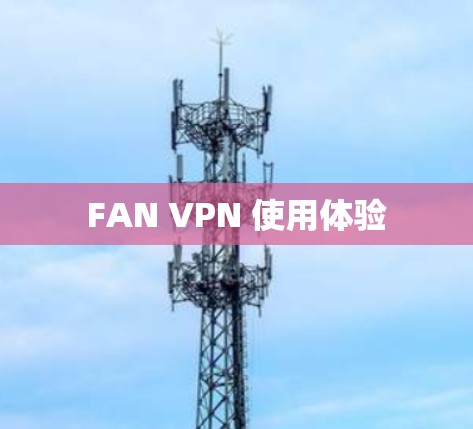 FAN VPN 使用体验