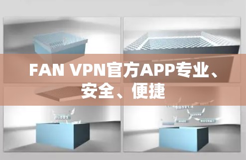 FAN VPN官方APP专业、安全、便捷 FAN VPN官方APP专业、安全、便捷
