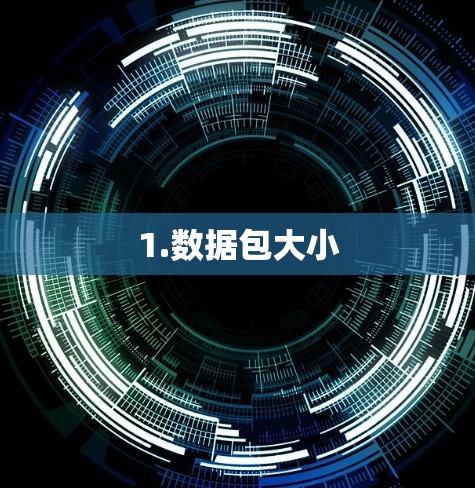 1.数据包大小