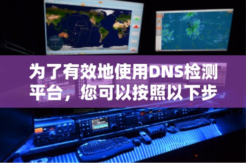 为了有效地使用DNS检测平台，您可以按照以下步骤进行规划和操作