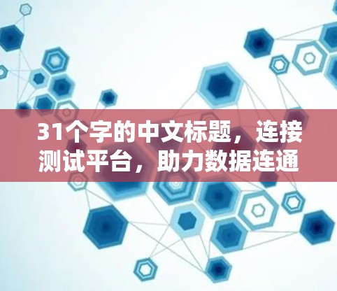 31个字的中文标题，连接测试平台，助力数据连通与安全